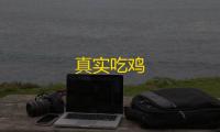 真实吃鸡